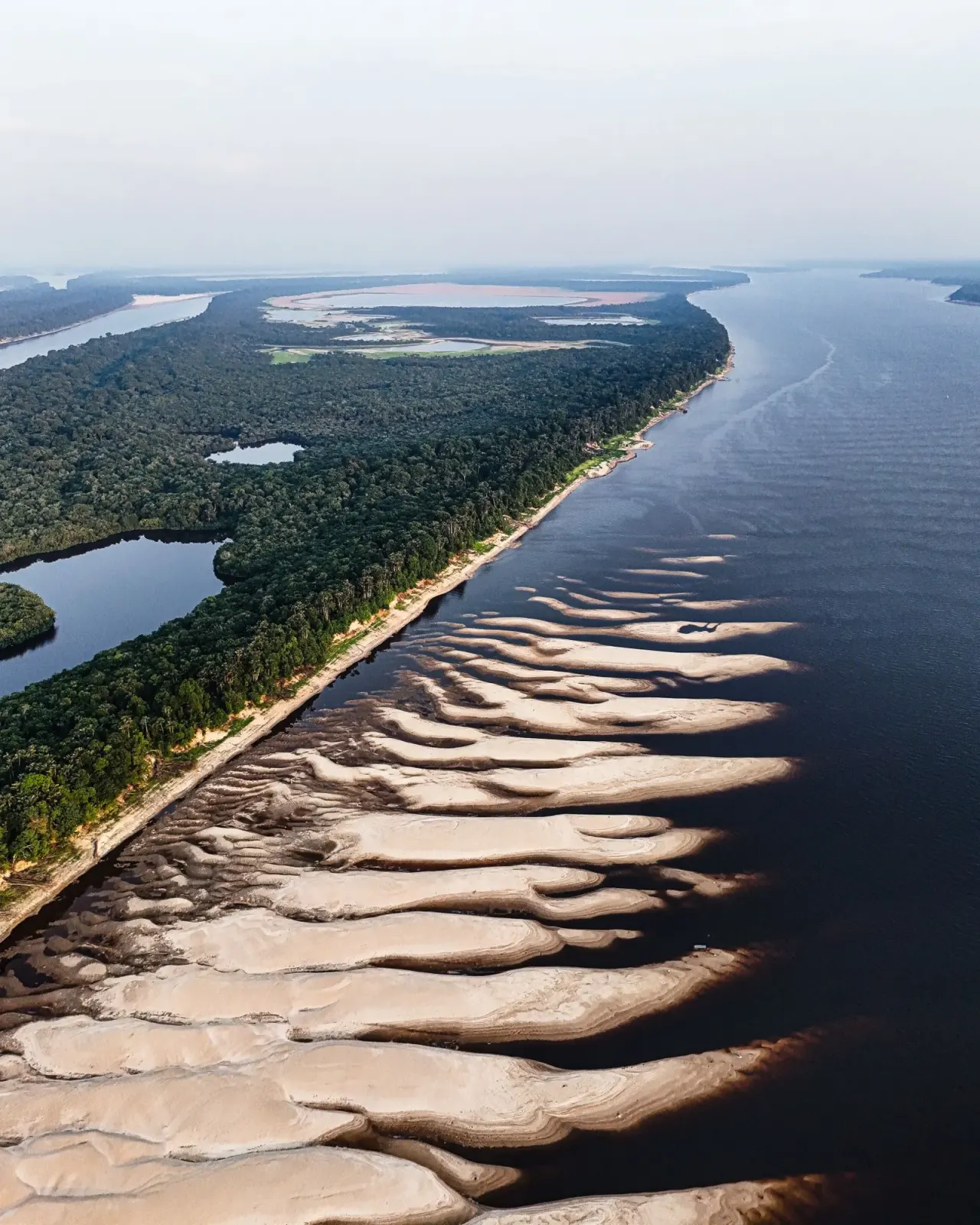 Foto de local que foi atingido e gerou multa ambiental.